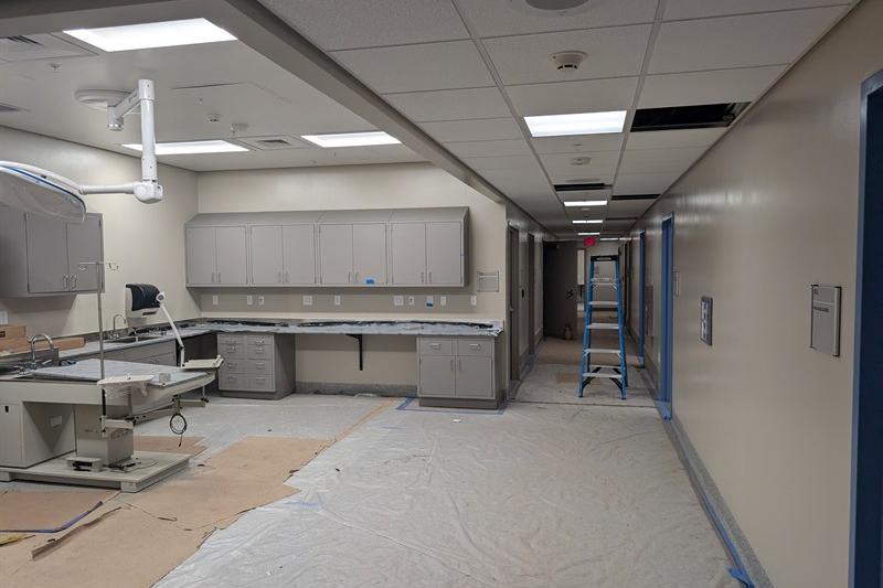 Veterinary procedure room adjacent to Operation Room